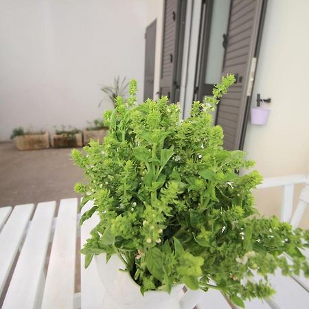 Home Holiday Salento Casa Agrosi Supersano Eksteriør billede